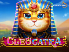 Gazel özellikleri. Slots kingdom casino sister sites.89